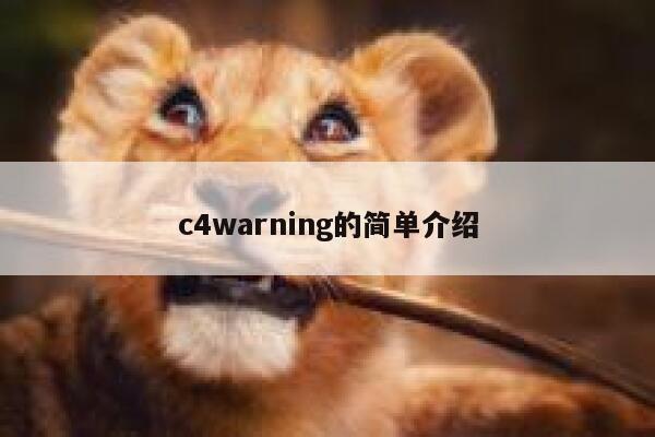 c4warning的简单介绍 第1张
