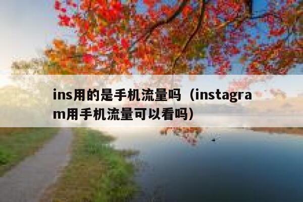 ins用的是手机流量吗（instagram用手机流量可以看吗） 第1张