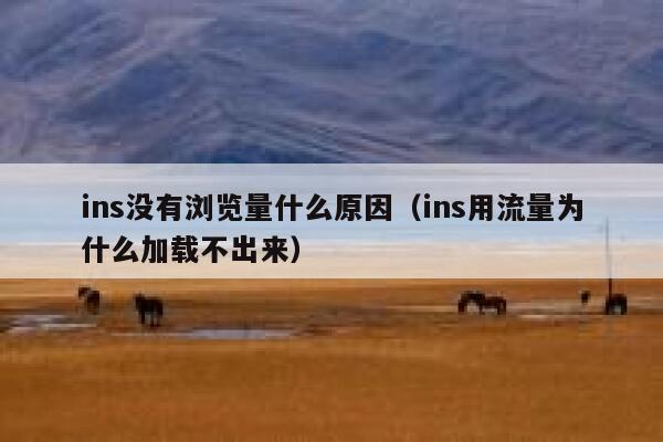 ins没有浏览量什么原因（ins用流量为什么加载不出来） 第1张
