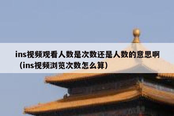 ins视频观看人数是次数还是人数的意思啊（ins视频浏览次数怎么算） 第1张