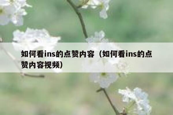 如何看ins的点赞内容（如何看ins的点赞内容视频） 第1张
