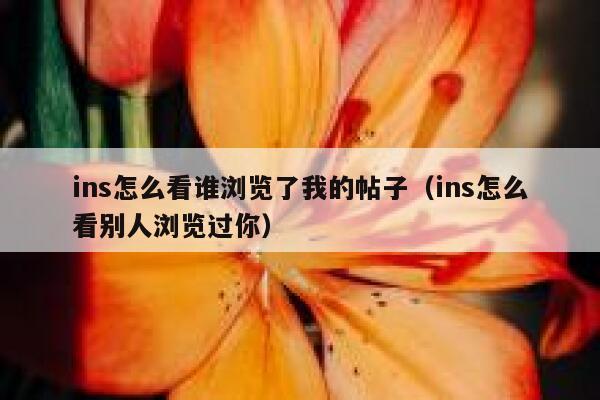 ins怎么看谁浏览了我的帖子（ins怎么看别人浏览过你） 第1张