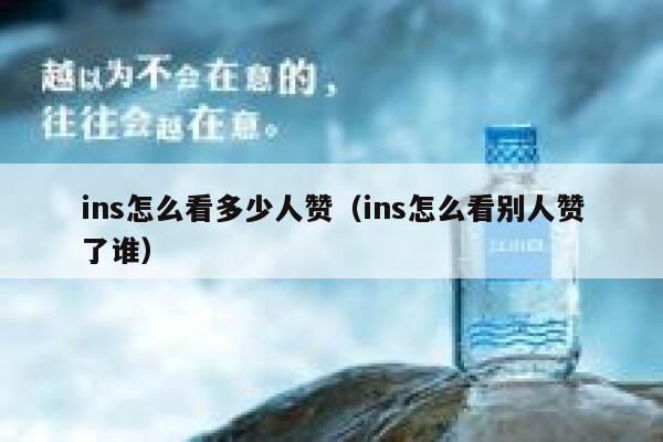 ins怎么看多少人赞（ins怎么看别人赞了谁） 第1张
