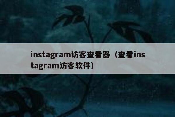 instagram访客查看器（查看instagram访客软件） 第1张