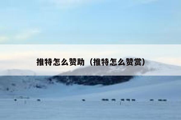 推特怎么赞助（推特怎么赞赏） 第1张