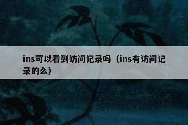 ins可以看到访问记录吗(ins有访问记录的么) 第1张 ins可以看到访问记录吗(ins有访问记录的么) 第1张