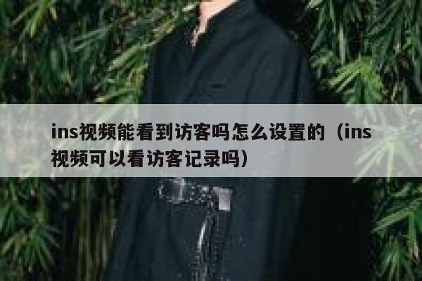 ins视频能看到访客吗怎么设置的(ins视频可以看访客记录吗) 第1张 ins视频能看到访客吗怎么设置的(ins视频可以看访客记录吗) 第1张