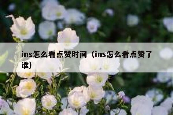 ins怎么看点赞时间(ins怎么看点赞了谁) 第1张 ins怎么看点赞时间(ins怎么看点赞了谁) 第1张