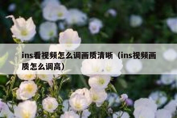 ins看视频怎么调画质清晰（ins视频画质怎么调高） 第1张
