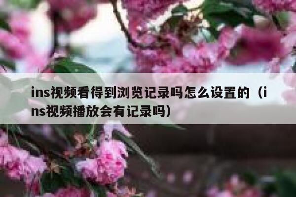 ins视频看得到浏览记录吗怎么设置的(ins视频播放会有记录吗) 第1张 ins视频看得到浏览记录吗怎么设置的(ins视频播放会有记录吗) 第1张