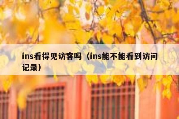 ins看得见访客吗(ins能不能看到访问记录) 第1张 ins看得见访客吗(ins能不能看到访问记录) 第1张