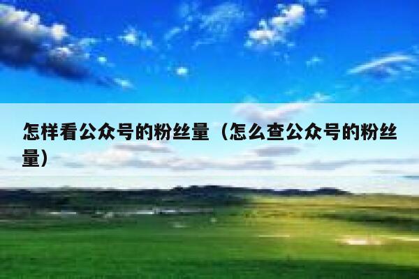 怎样看公众号的粉丝量(怎么查公众号的粉丝量) 第1张 怎样看公众号的粉丝量(怎么查公众号的粉丝量) 第1张
