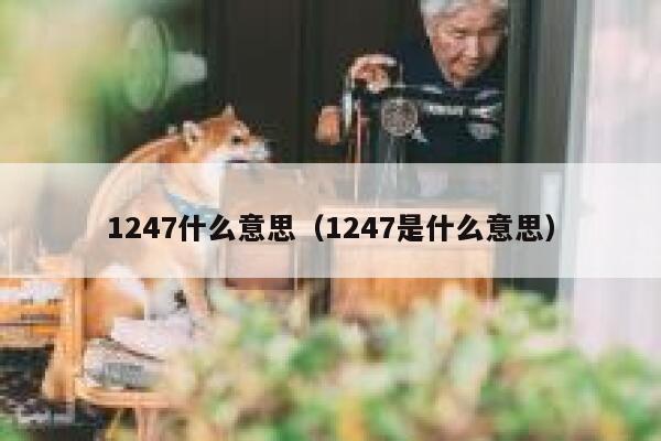 1247什么意思(1247是什么意思) 第1张 1247什么意思(1247是什么意思) 第1张