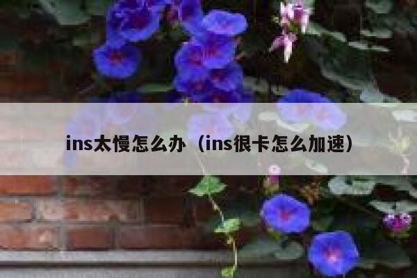 ins太慢怎么办(ins很卡怎么加速) 第1张 ins太慢怎么办(ins很卡怎么加速) 第1张