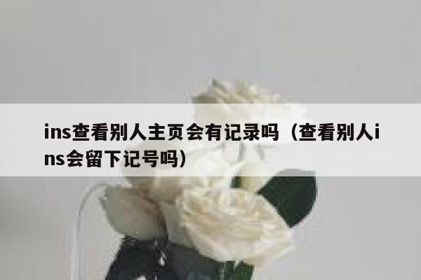 ins查看别人主页会有记录吗(查看别人ins会留下记号吗) 第1张 ins查看别人主页会有记录吗(查看别人ins会留下记号吗) 第1张