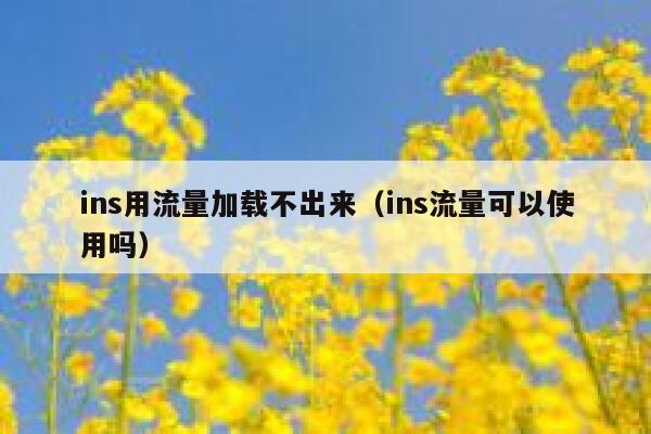 ins用流量加载不出来(ins流量可以使用吗) 第1张 ins用流量加载不出来(ins流量可以使用吗) 第1张