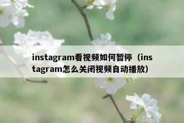 instagram看视频如何暂停(instagram怎么关闭视频自动播放) 第1张 instagram看视频如何暂停(instagram怎么关闭视频自动播放) 第1张