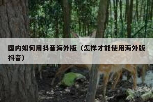 国内如何用抖音海外版(怎样才能使用海外版抖音) 第1张 国内如何用抖音海外版(怎样才能使用海外版抖音) 第1张