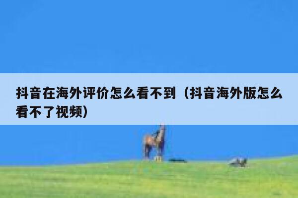 抖音在海外评价怎么看不到(抖音海外版怎么看不了视频) 第1张 抖音在海外评价怎么看不到(抖音海外版怎么看不了视频) 第1张