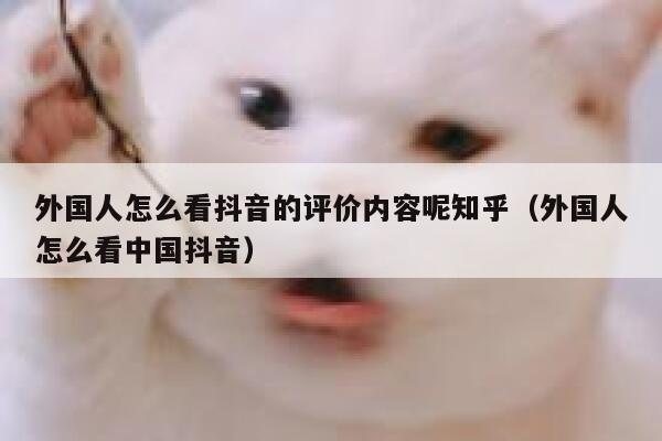 外国人怎么看抖音的评价内容呢知乎(外国人怎么看中国抖音) 第1张 外国人怎么看抖音的评价内容呢知乎(外国人怎么看中国抖音) 第1张