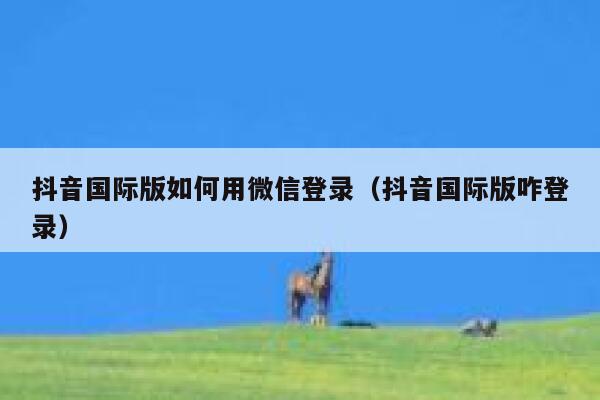 抖音国际版如何用微信登录(抖音国际版咋登录) 第1张 抖音国际版如何用微信登录(抖音国际版咋登录) 第1张
