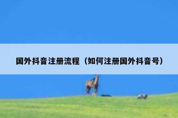 国外抖音注册流程(如何注册国外抖音号) 第1张 国外抖音注册流程(如何注册国外抖音号) 第1张