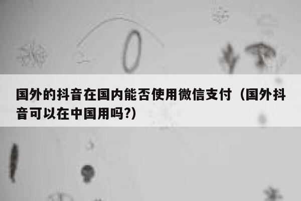 国外的抖音在国内能否使用微信支付(国外抖音可以在中国用吗?) 第1张 国外的抖音在国内能否使用微信支付(国外抖音可以在中国用吗?) 第1张