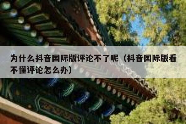为什么抖音国际版评论不了呢(抖音国际版看不懂评论怎么办) 第1张 为什么抖音国际版评论不了呢(抖音国际版看不懂评论怎么办) 第1张