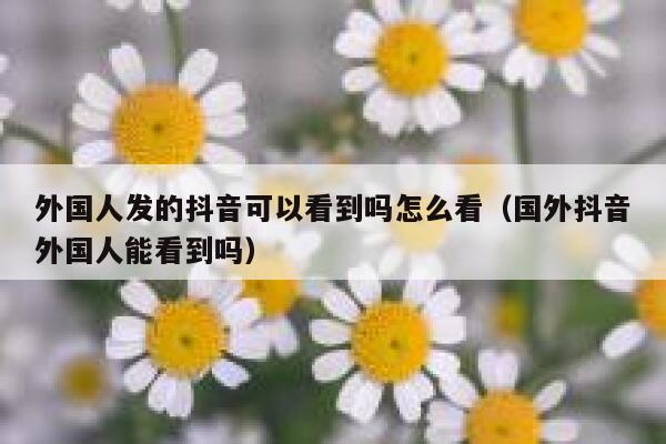 外国人发的抖音可以看到吗怎么看(国外抖音外国人能看到吗) 第1张 外国人发的抖音可以看到吗怎么看(国外抖音外国人能看到吗) 第1张
