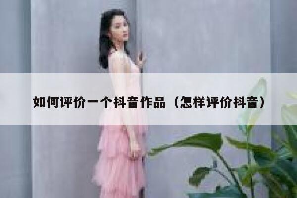 如何评价一个抖音作品（怎样评价抖音） 第1张