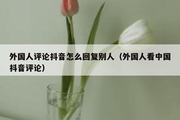 外国人评论抖音怎么回复别人（外国人看中国抖音评论） 第1张