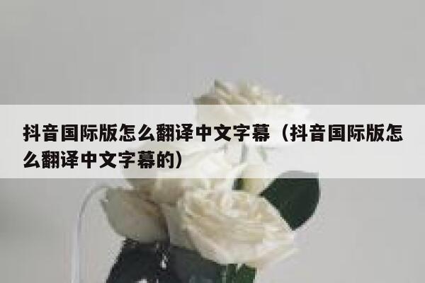 抖音国际版怎么翻译中文字幕（抖音国际版怎么翻译中文字幕的） 第1张