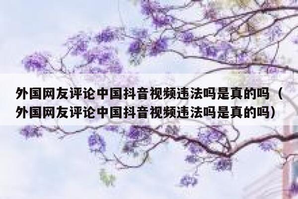 外国网友评论中国抖音视频违法吗是真的吗（外国网友评论中国抖音视频违法吗是真的吗） 第1张