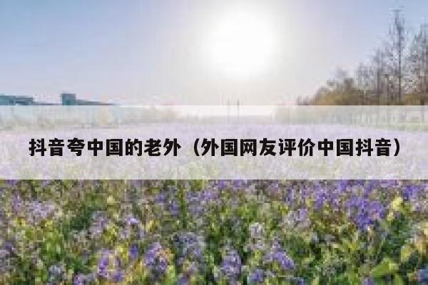 抖音夸中国的老外（外国网友评价中国抖音） 第1张