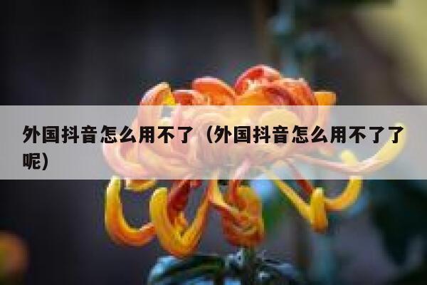 外国抖音怎么用不了(外国抖音怎么用不了了呢) 第1张 外国抖音怎么用不了(外国抖音怎么用不了了呢) 第1张