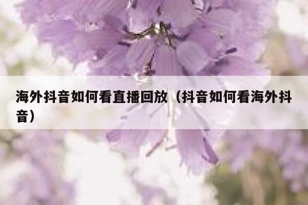 海外抖音如何看直播回放（抖音如何看海外抖音） 第1张