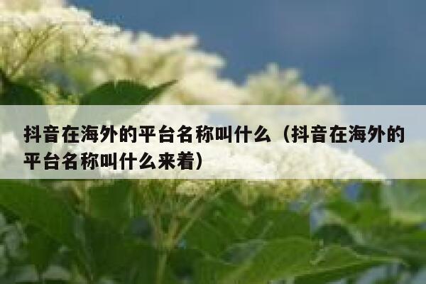 抖音在海外的平台名称叫什么(抖音在海外的平台名称叫什么来着) 第1张 抖音在海外的平台名称叫什么(抖音在海外的平台名称叫什么来着) 第1张
