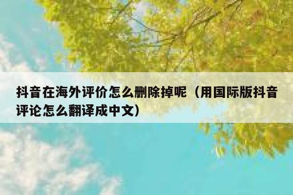 抖音在海外评价怎么删除掉呢(用国际版抖音评论怎么翻译成中文) 第1张 抖音在海外评价怎么删除掉呢(用国际版抖音评论怎么翻译成中文) 第1张
