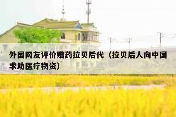 外国网友评价赠药拉贝后代(拉贝后人向中国求助医疗物资) 第1张 外国网友评价赠药拉贝后代(拉贝后人向中国求助医疗物资) 第1张