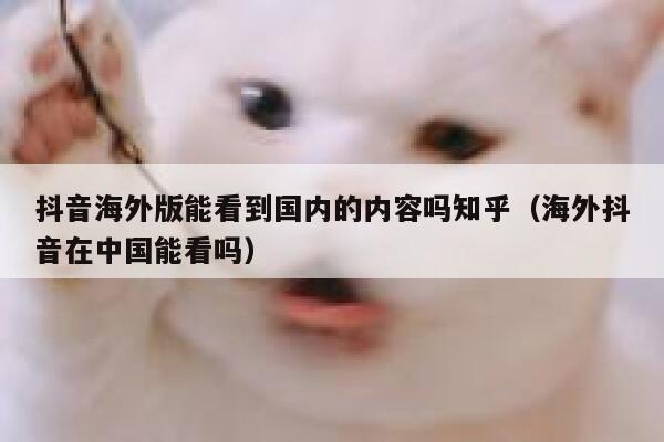 抖音海外版能看到国内的内容吗知乎(海外抖音在中国能看吗) 第1张 抖音海外版能看到国内的内容吗知乎(海外抖音在中国能看吗) 第1张