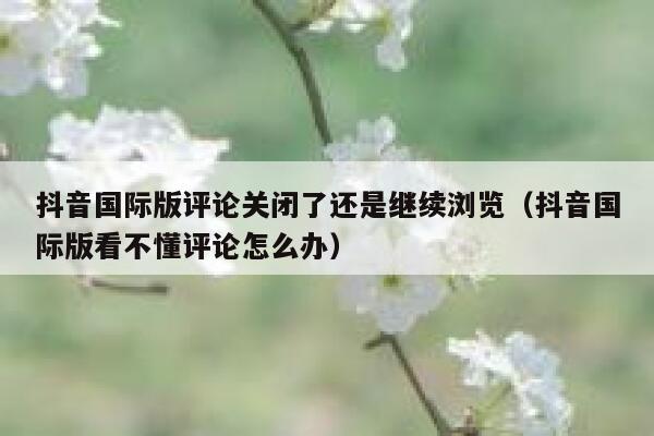 抖音国际版评论关闭了还是继续浏览（抖音国际版看不懂评论怎么办） 第1张
