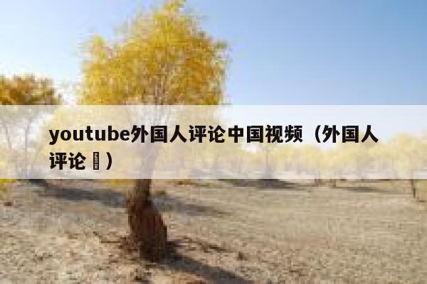 youtube外国人评论中国视频（外国人评论囍） 第1张
