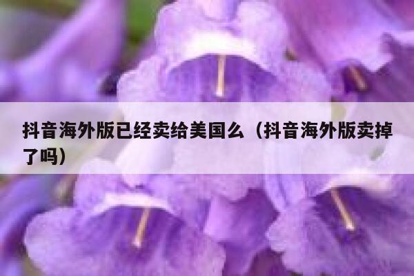 抖音海外版已经卖给美国么（抖音海外版卖掉了吗） 第1张