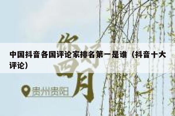 中国抖音各国评论家排名第一是谁（抖音十大评论） 第1张