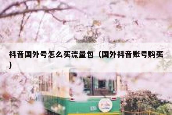 抖音国外号怎么买流量包（国外抖音账号购买） 第1张