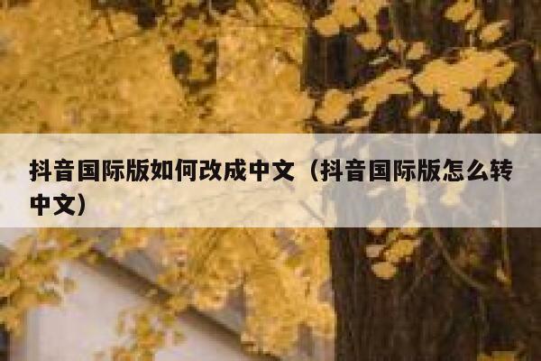 抖音国际版如何改成中文(抖音国际版怎么转中文) 第1张 抖音国际版如何改成中文(抖音国际版怎么转中文) 第1张