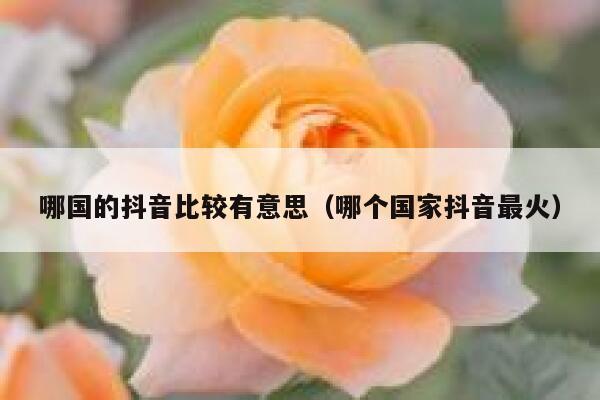 哪国的抖音比较有意思(哪个国家抖音最火) 第1张 哪国的抖音比较有意思(哪个国家抖音最火) 第1张