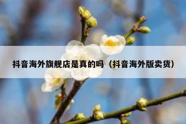 抖音海外旗舰店是真的吗(抖音海外版卖货) 第1张 抖音海外旗舰店是真的吗(抖音海外版卖货) 第1张
