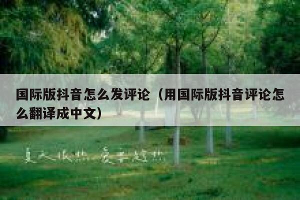 国际版抖音怎么发评论（用国际版抖音评论怎么翻译成中文） 第1张