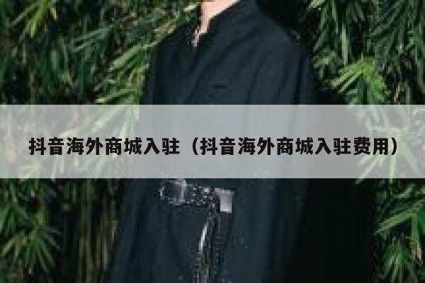 抖音海外商城入驻（抖音海外商城入驻费用） 第1张